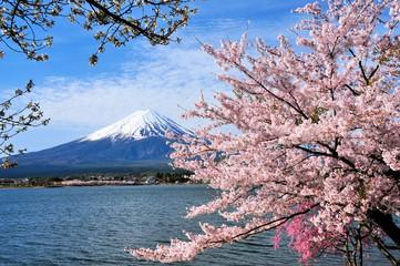 ラビスタ富士河口湖の派遣社員 スパセラピスト ホテル・高級スパ内サロンの求人情報イメージ2